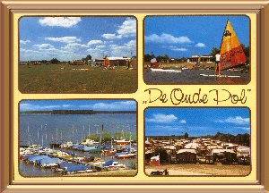De Oude Pol 1980